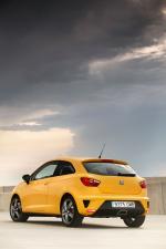 Seat Ibiza Cupra 2009 года